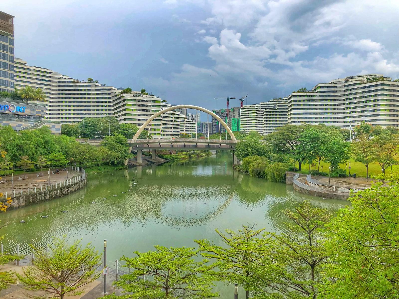 Regional Rental Markets vs Capital City Comparisons Show Punggol Gap Widening