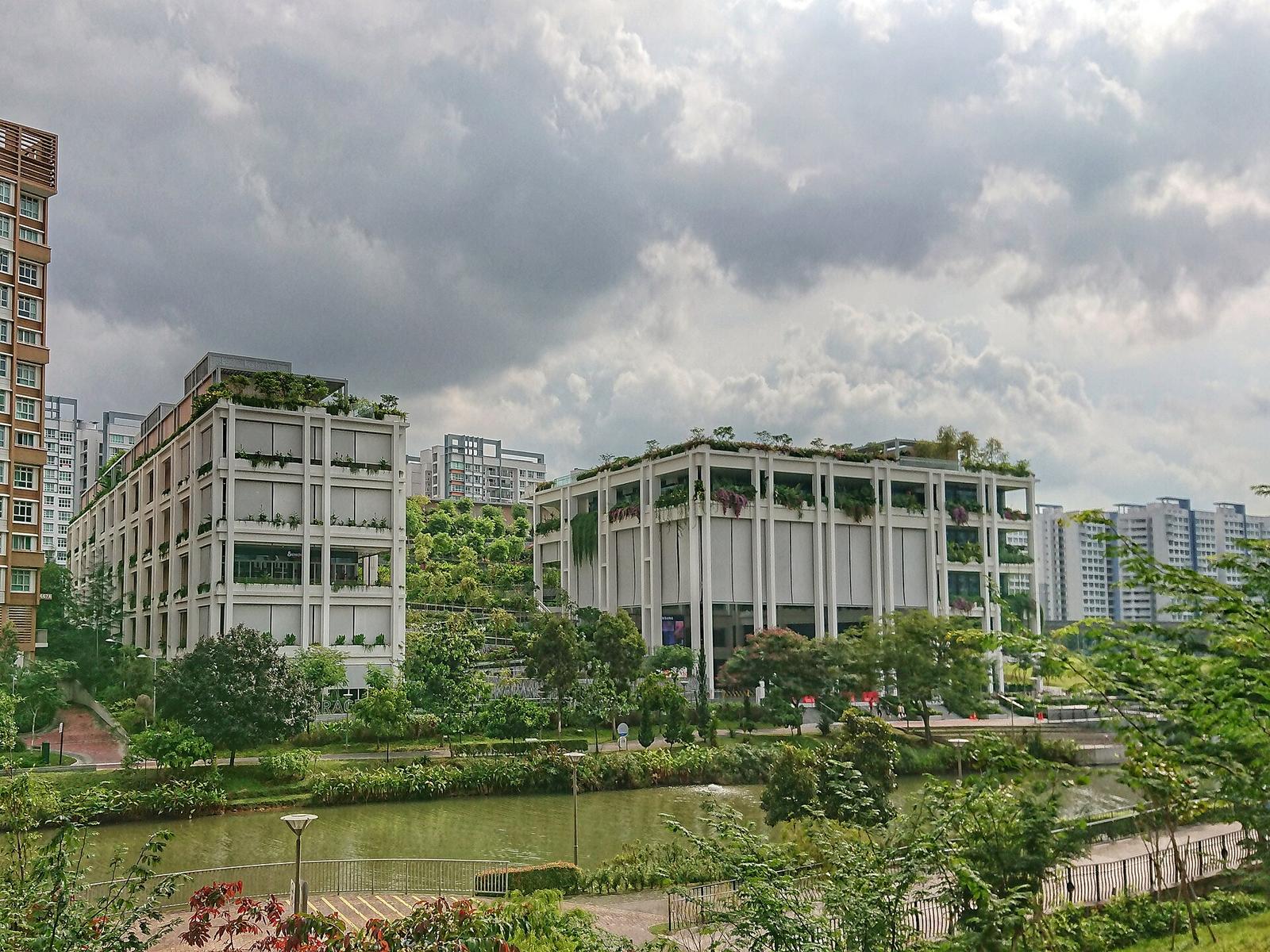 Punggol Waterway Park Pathway (1)
